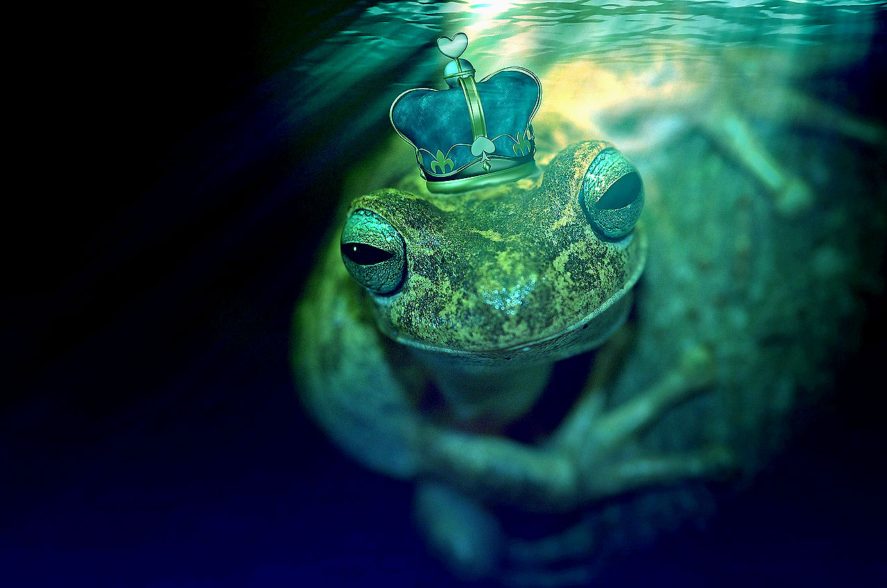 green frog prince underwater